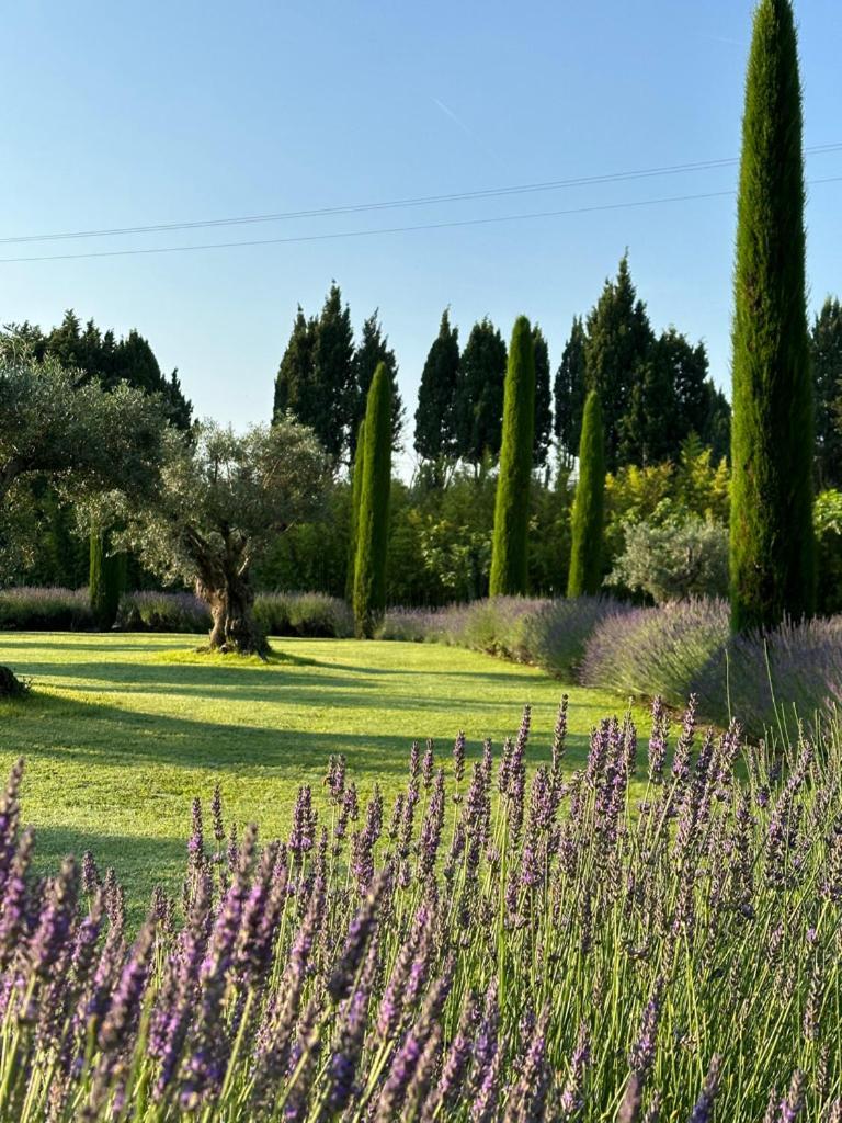 Mas Des Bambous Hotel Saint-Rémy-de-Provence Kültér fotó